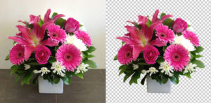 Background Removal services at Pixgurus